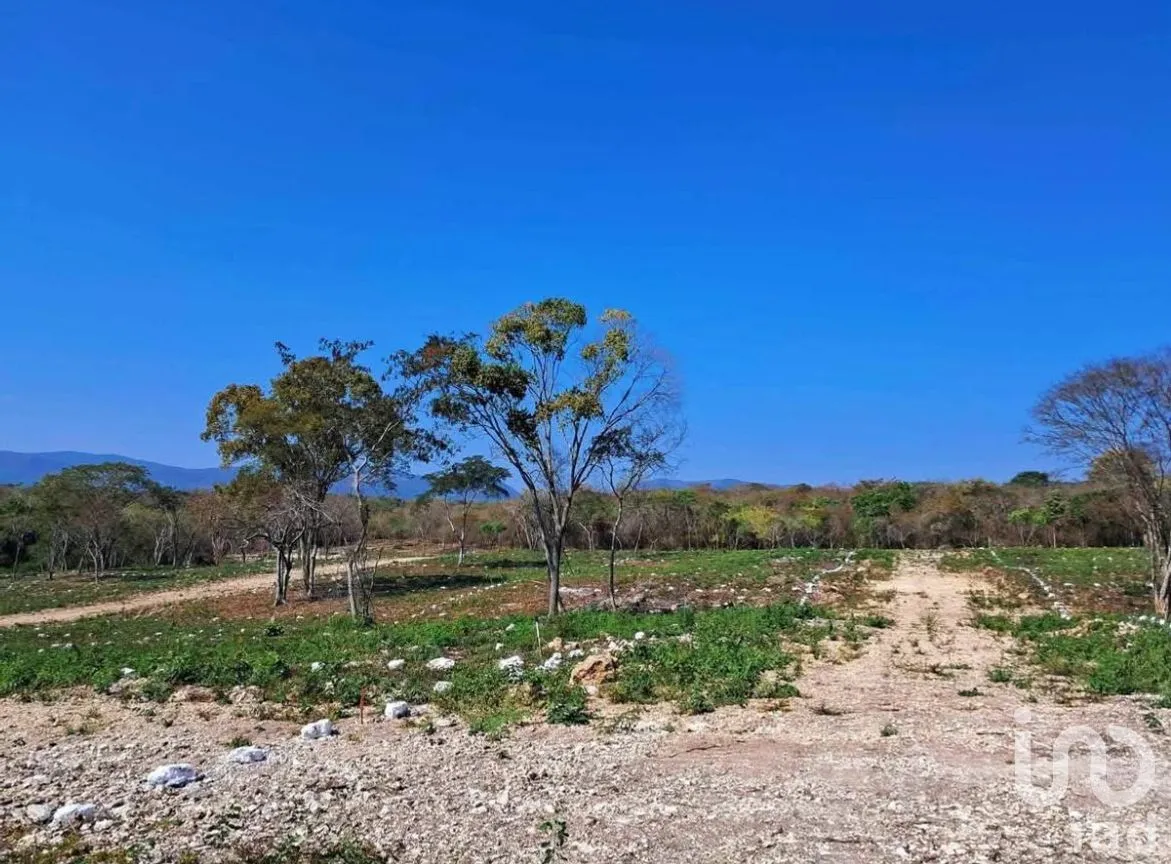 Terreno en Venta en El Jobo, Tuxtla Gutiérrez, Chiapas | NEX-279949 | iad México | Foto 11 de 25