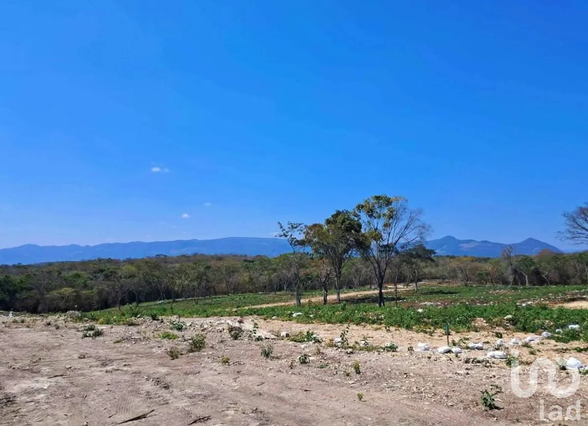 Terreno en Venta en El Jobo, Tuxtla Gutiérrez, Chiapas | NEX-279949 | iad México | Foto 13 de 25