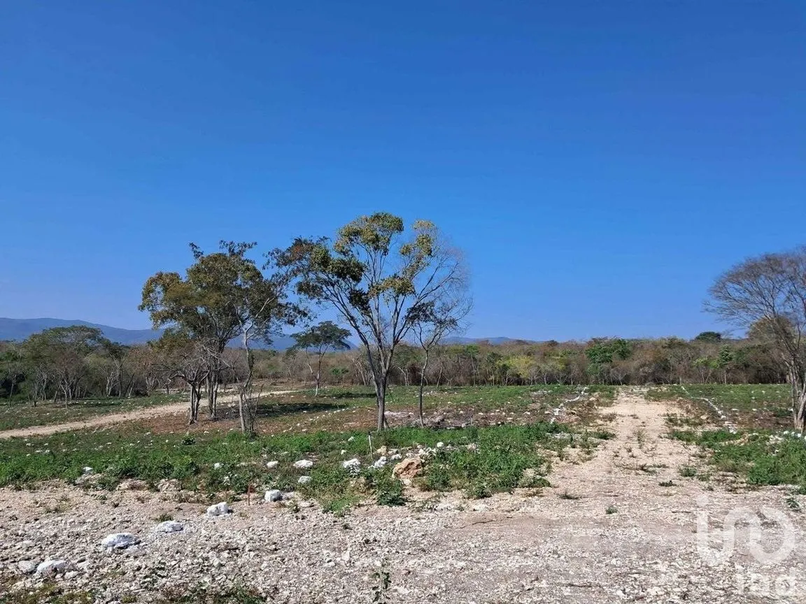 Terreno en Venta en El Jobo, Tuxtla Gutiérrez, Chiapas | NEX-279949 | iad México | Foto 19 de 25