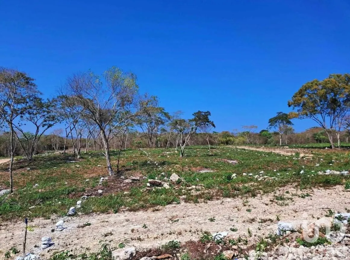 Terreno en Venta en El Jobo, Tuxtla Gutiérrez, Chiapas | NEX-279949 | iad México | Foto 10 de 25
