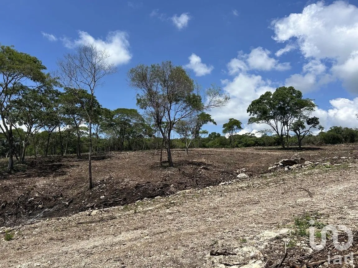 Terreno en Venta en El Jobo, Tuxtla Gutiérrez, Chiapas | NEX-279951 | iad México | Foto 4 de 10