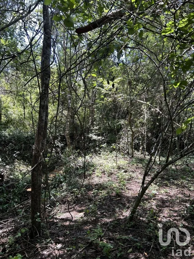Terreno en Venta en El Jobo, Tuxtla Gutiérrez, Chiapas | NEX-279951 | iad México | Foto 6 de 10