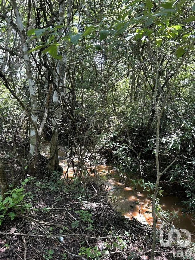 Terreno en Venta en El Jobo, Tuxtla Gutiérrez, Chiapas | NEX-279951 | iad México | Foto 7 de 10