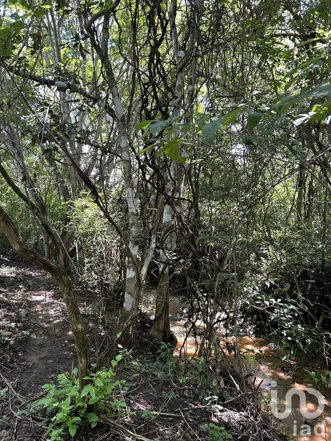 Terreno en Venta en El Jobo, Tuxtla Gutiérrez, Chiapas | NEX-279951 | iad México | Foto 10 de 10