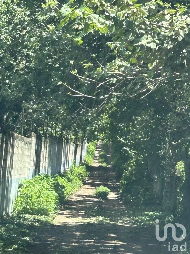 Terreno en Venta en El Jobo, Tuxtla Gutiérrez, Chiapas | NEX-279951 | iad México | Foto 1 de 10