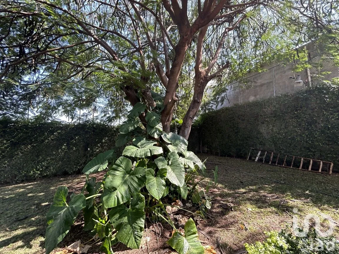 Casa en Venta en Potrero Mirador, Tuxtla Gutiérrez, Chiapas | NEX-279953 | iad México | Foto 8 de 28