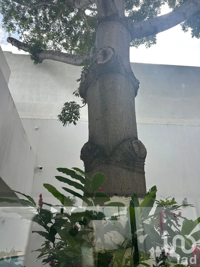 Terreno en Venta en Los Laguitos, Tuxtla Gutiérrez, Chiapas | NEX-280013 | iad México | Foto 1 de 22