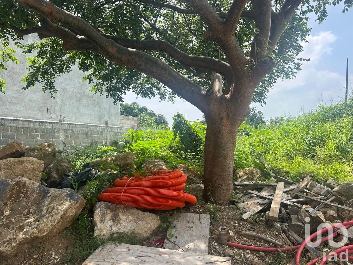 Terreno en Venta en Plan de Ayala, Tuxtla Gutiérrez, Chiapas | NEX-280016 | iad México | Foto 8 de 10