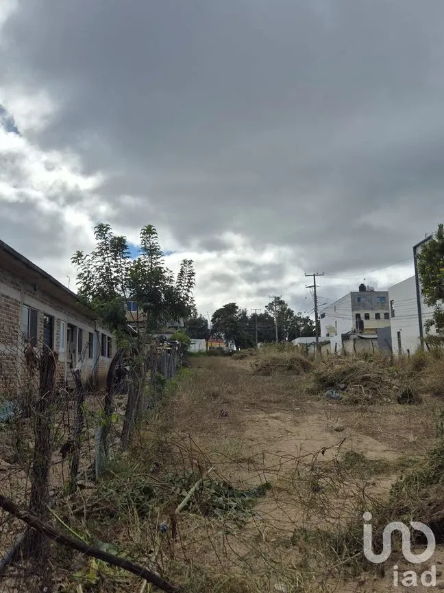 Terreno en Renta en Comitán de Domínguez Centro, Comitán de Domínguez, Chiapas | NEX-280029 | iad México | Foto 11 de 11