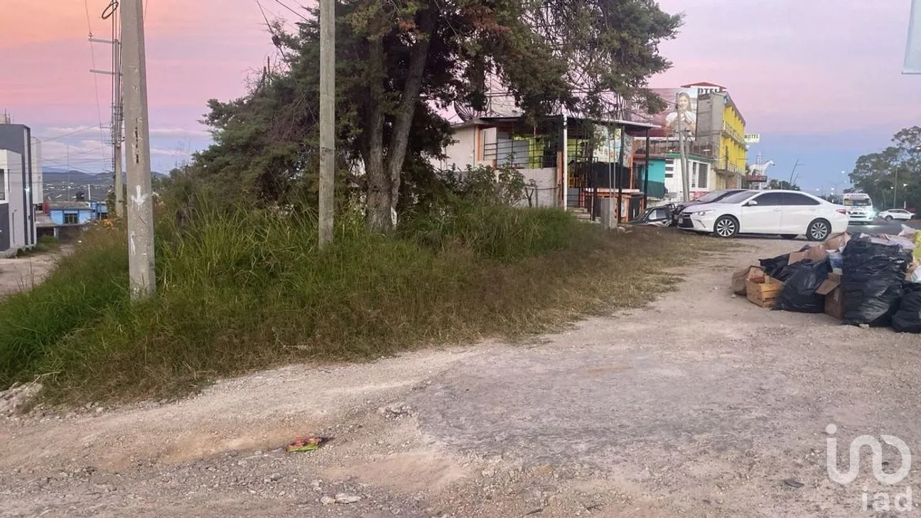 Terreno en Renta en Comitán de Domínguez Centro, Comitán de Domínguez, Chiapas | NEX-280029 | iad México | Foto 3 de 11