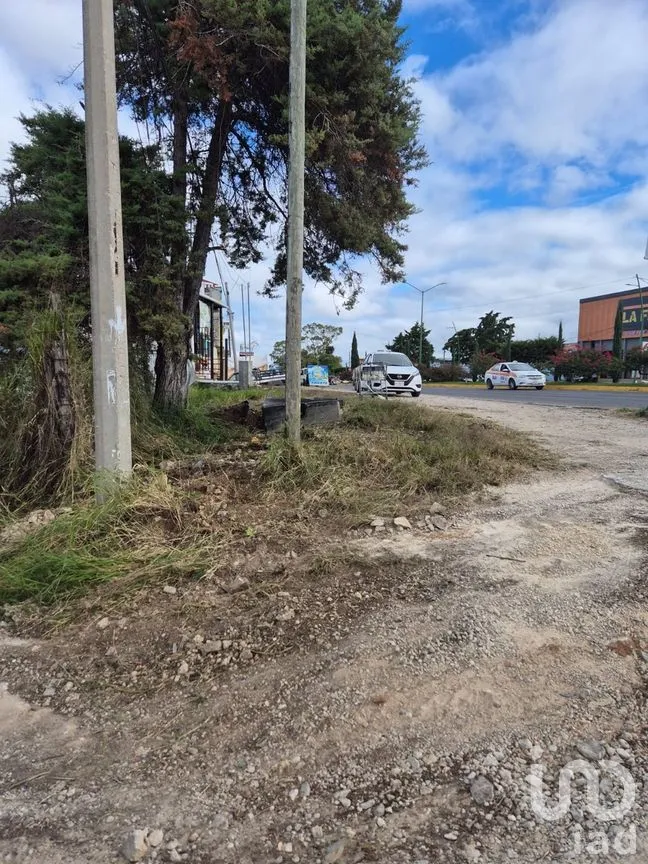 Terreno en Renta en Comitán de Domínguez Centro, Comitán de Domínguez, Chiapas | NEX-280029 | iad México | Foto 8 de 11