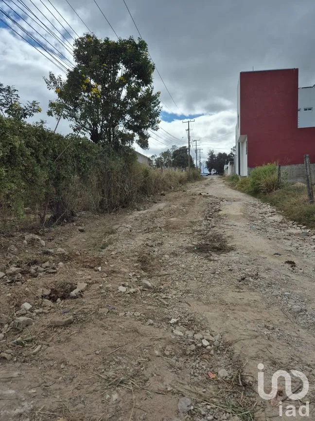 Terreno en Renta en Comitán de Domínguez Centro, Comitán de Domínguez, Chiapas | NEX-280029 | iad México | Foto 9 de 11