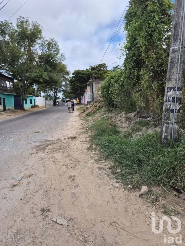 Terreno en Renta en Comitán de Domínguez Centro, Comitán de Domínguez, Chiapas | NEX-280029 | iad México | Foto 10 de 11