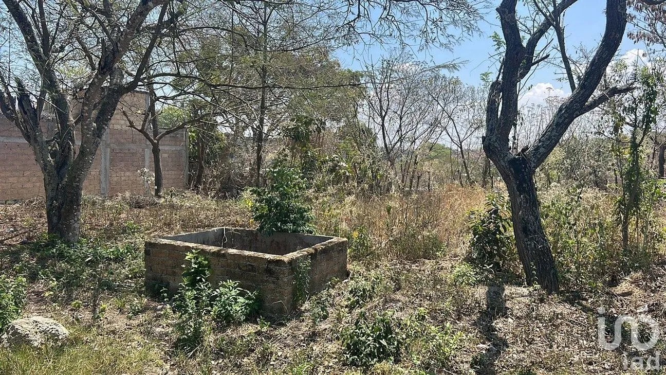 Terreno en Venta en Santa Cecilia, Berriozábal, Chiapas | NEX-292415 | iad México | Foto 2 de 9