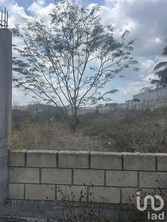 Terreno en Venta en Efraín A Gutiérrez, Berriozábal, Chiapas | NEX-292419 | iad México | Foto 3 de 7