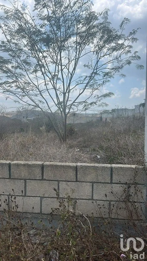 Terreno en Venta en Efraín A Gutiérrez, Berriozábal, Chiapas | NEX-292419 | iad México | Foto 1 de 7
