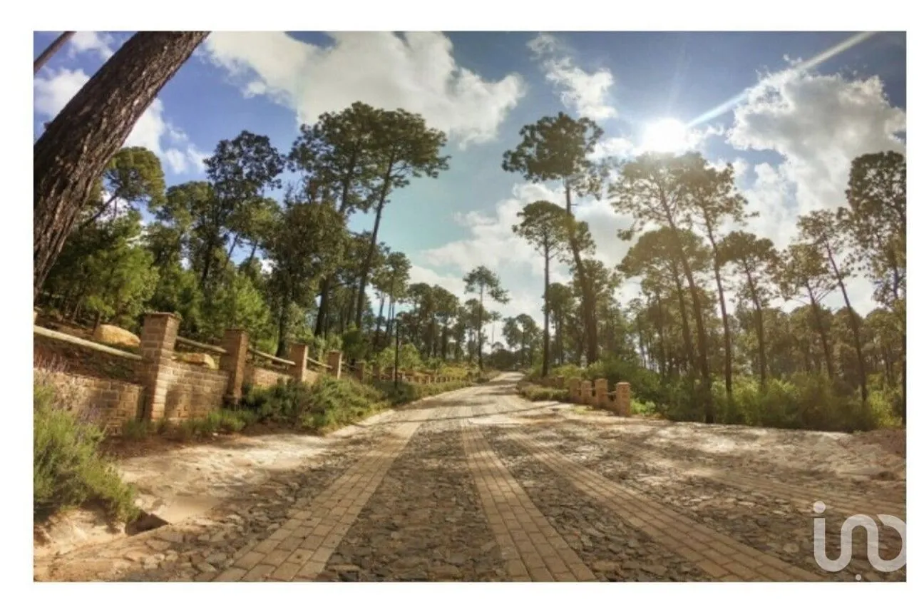 Terreno en Venta en Tapalpa, Tapalpa, Jalisco | NEX-229506 | iad México | Foto 3 de 10