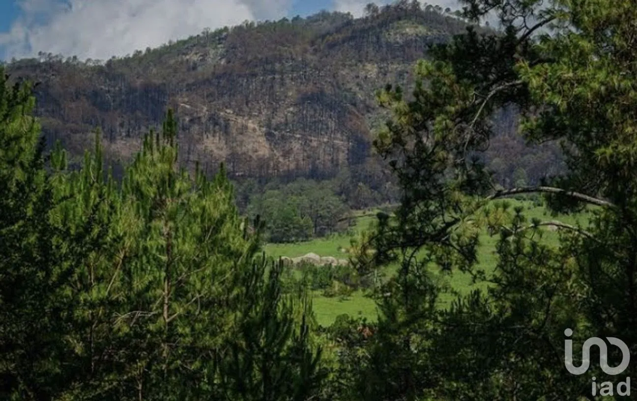 Terreno en Venta en Tapalpa, Tapalpa, Jalisco | NEX-229507 | iad México | Foto 1 de 10