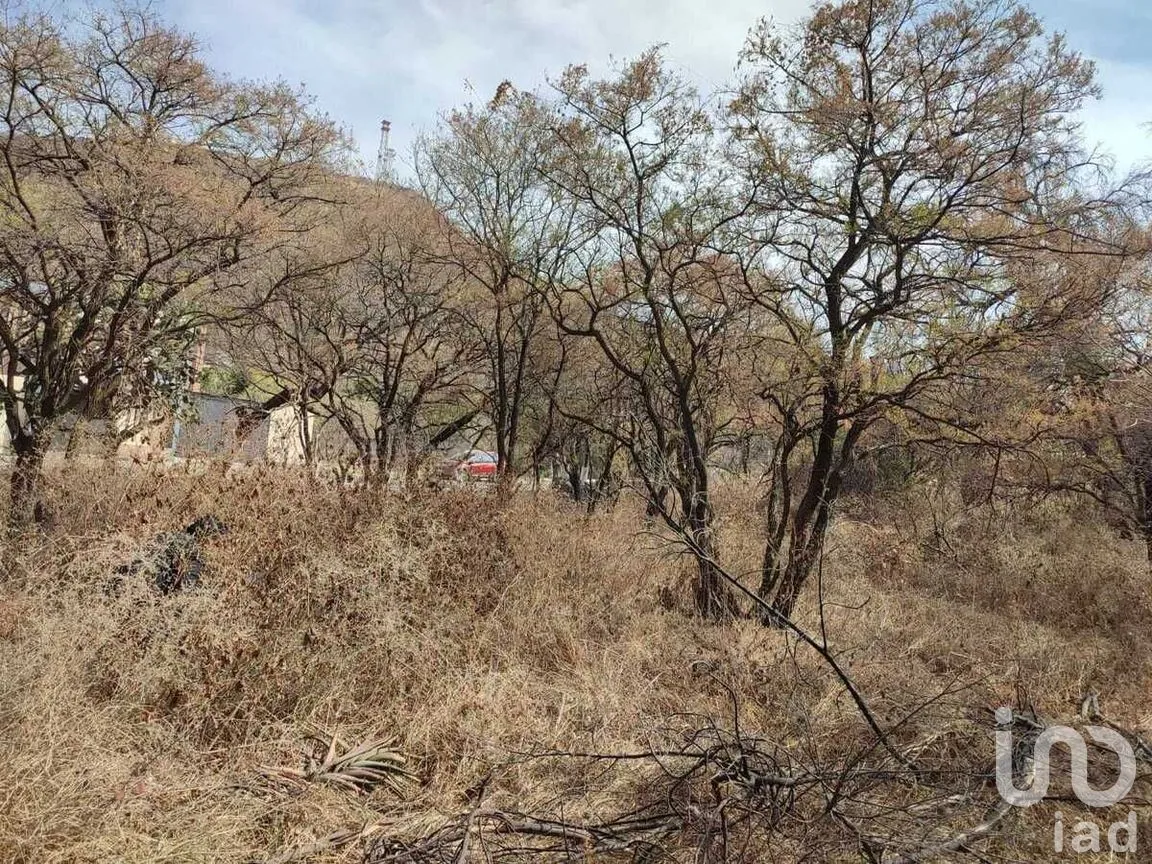Terreno en Venta en Chapala Haciendas, Chapala, Jalisco | NEX-267947 | iad México | Foto 9 de 12
