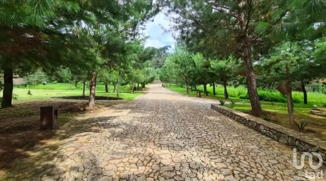 Terreno en Venta en Tapalpa, Tapalpa, Jalisco | NEX-271283 | iad México | Foto 3 de 9