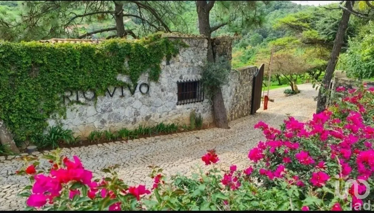 Terreno en Venta en Tapalpa, Tapalpa, Jalisco | NEX-271283 | iad México | Foto 1 de 9