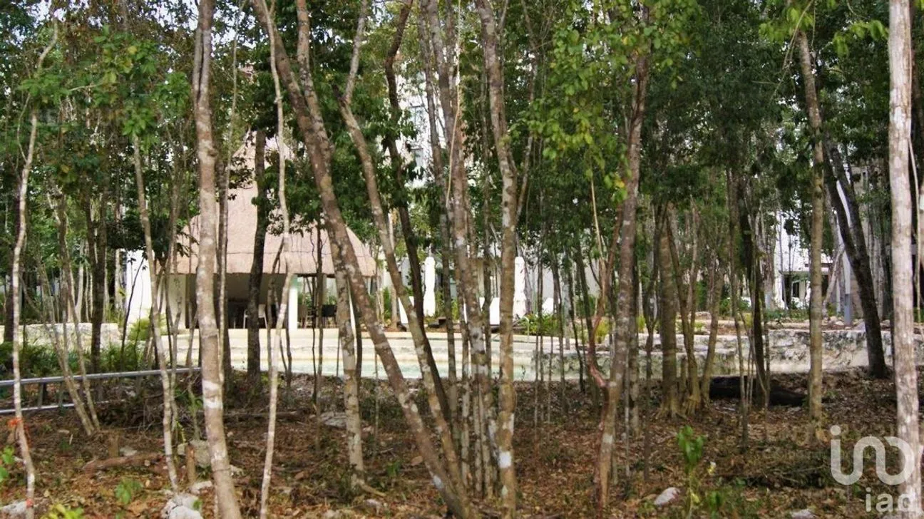 Departamento en Venta en Jardines de Ciudad Mayakoba, Solidaridad, Quintana Roo | NEX-109741 | iad México | Foto 8 de 42