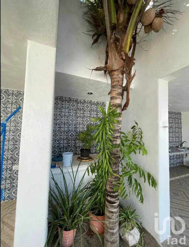 Casa en Venta en Chelem, Progreso, Yucatán | NEX-229307 | iad México | Foto 14 de 19