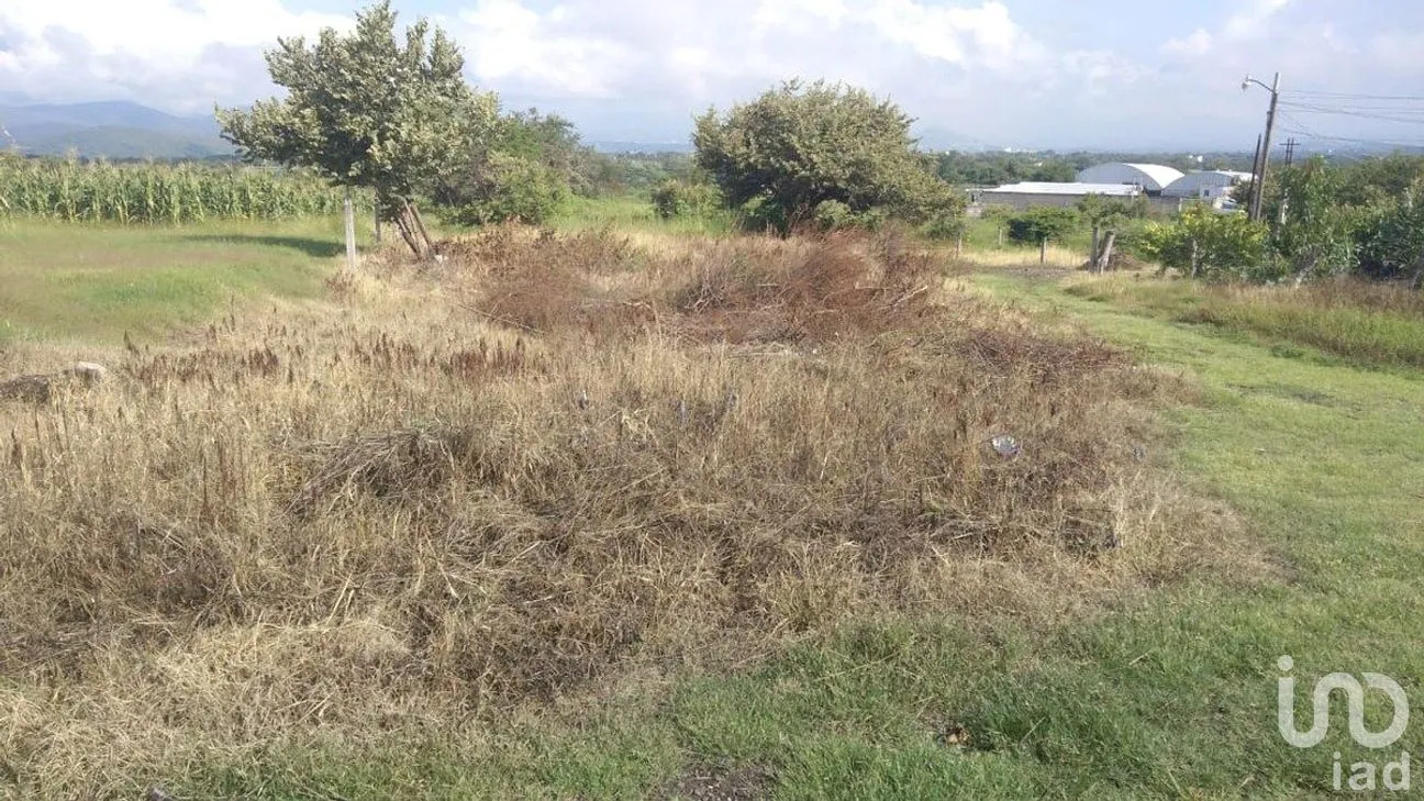 Terreno en Venta en Atlacholoaya, Xochitepec, Morelos | NEX-293174 | iad México | Foto 4 de 4