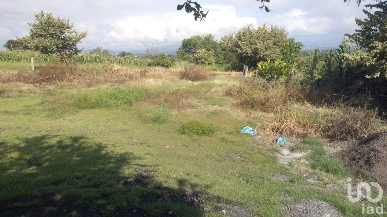 Terreno en Venta en Atlacholoaya, Xochitepec, Morelos | NEX-293175 | iad México | Foto 2 de 4