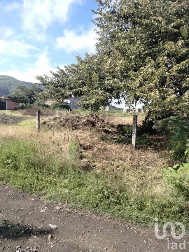 Terreno en Venta en Atlacholoaya, Xochitepec, Morelos | NEX-293175 | iad México | Foto 3 de 4