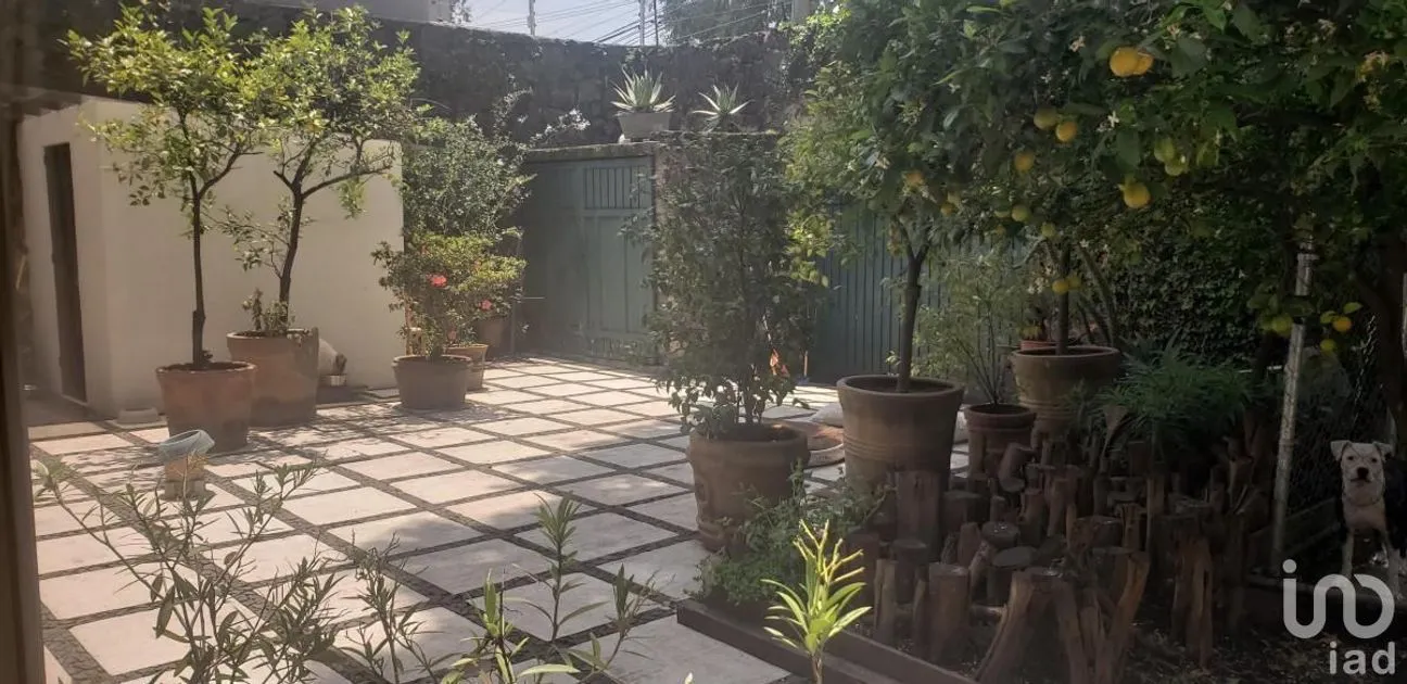 Casa en Venta en Jardines del Pedregal, Álvaro Obregón, Ciudad de México | NEX-201572 | iad México | Foto 12 de 12
