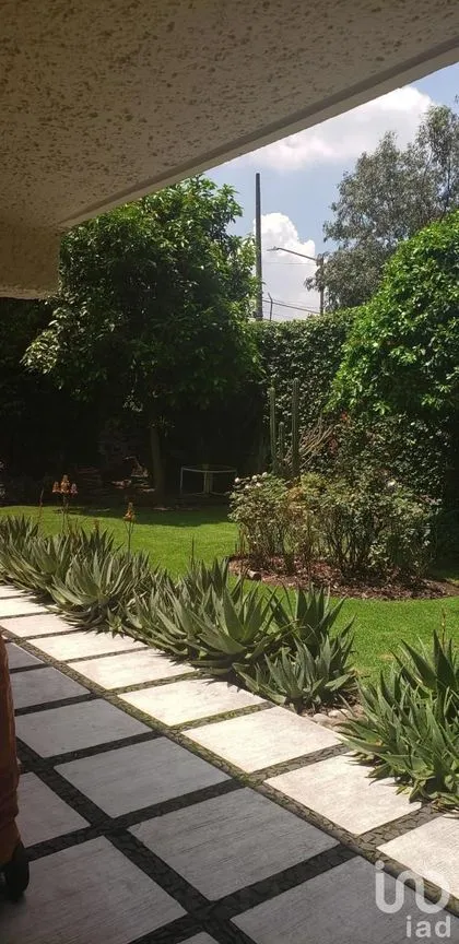 Casa en Venta en Jardines del Pedregal, Álvaro Obregón, Ciudad de México | NEX-201572 | iad México | Foto 4 de 12