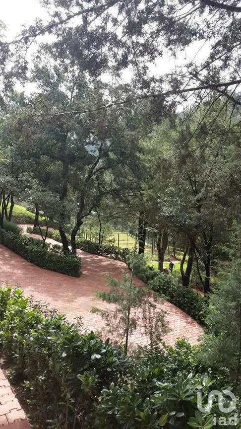 Departamento en Venta en San Mateo Tlaltenango, Cuajimalpa de Morelos, Ciudad de México | NEX-228430 | iad México | Foto 24 de 24