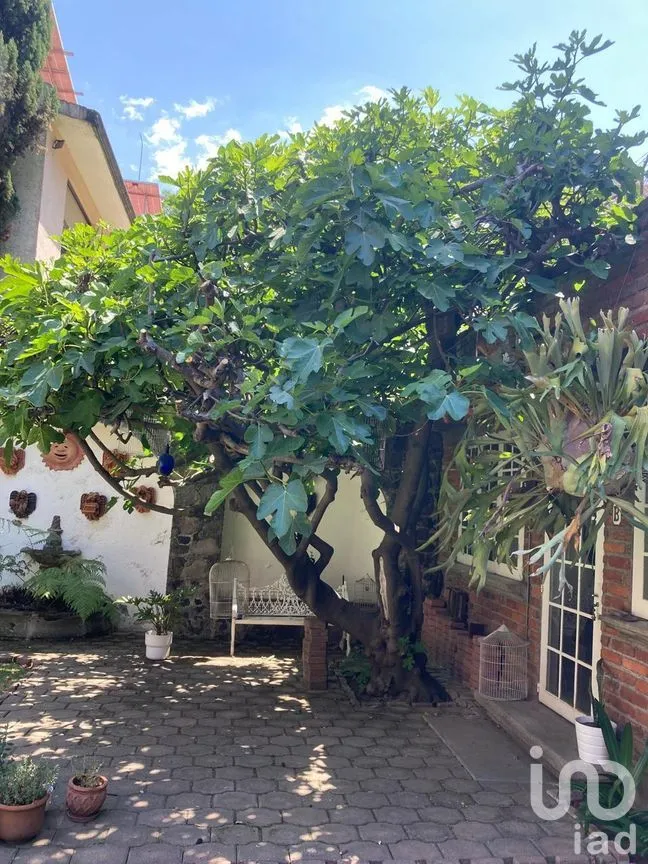 Casa en Venta en Jardines en la Montaña, Tlalpan, Ciudad de México | NEX-269391 | iad México | Foto 4 de 23