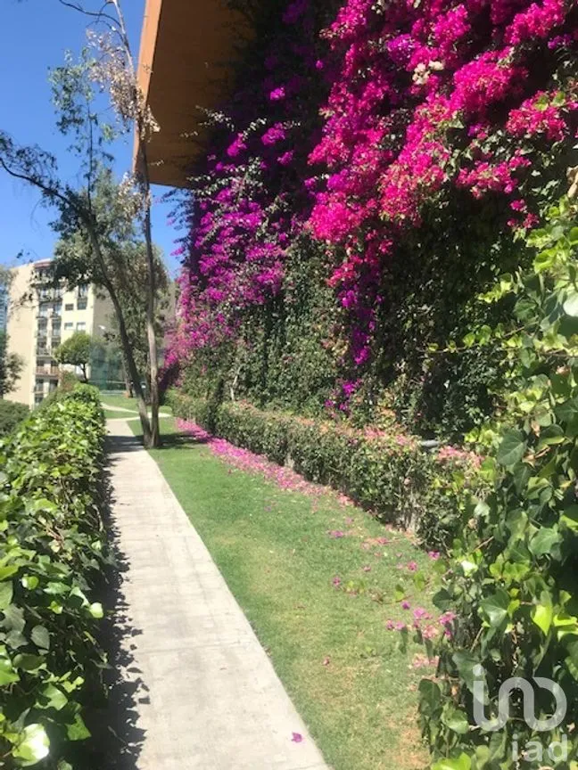 Departamento en Venta en El Yaqui, Cuajimalpa de Morelos, Ciudad de México | NEX-272055 | iad México | Foto 38 de 50