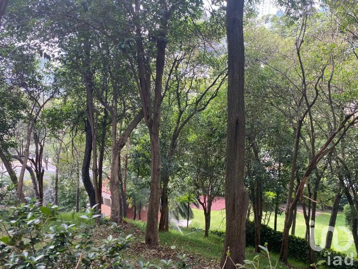 Departamento en Venta en El Yaqui, Cuajimalpa de Morelos, Ciudad de México | NEX-272055 | iad México | Foto 50 de 50