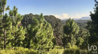 NEX-280125 - Terreno en Venta en San Miguel Ameyalco, CP 52040, Estado de México.
