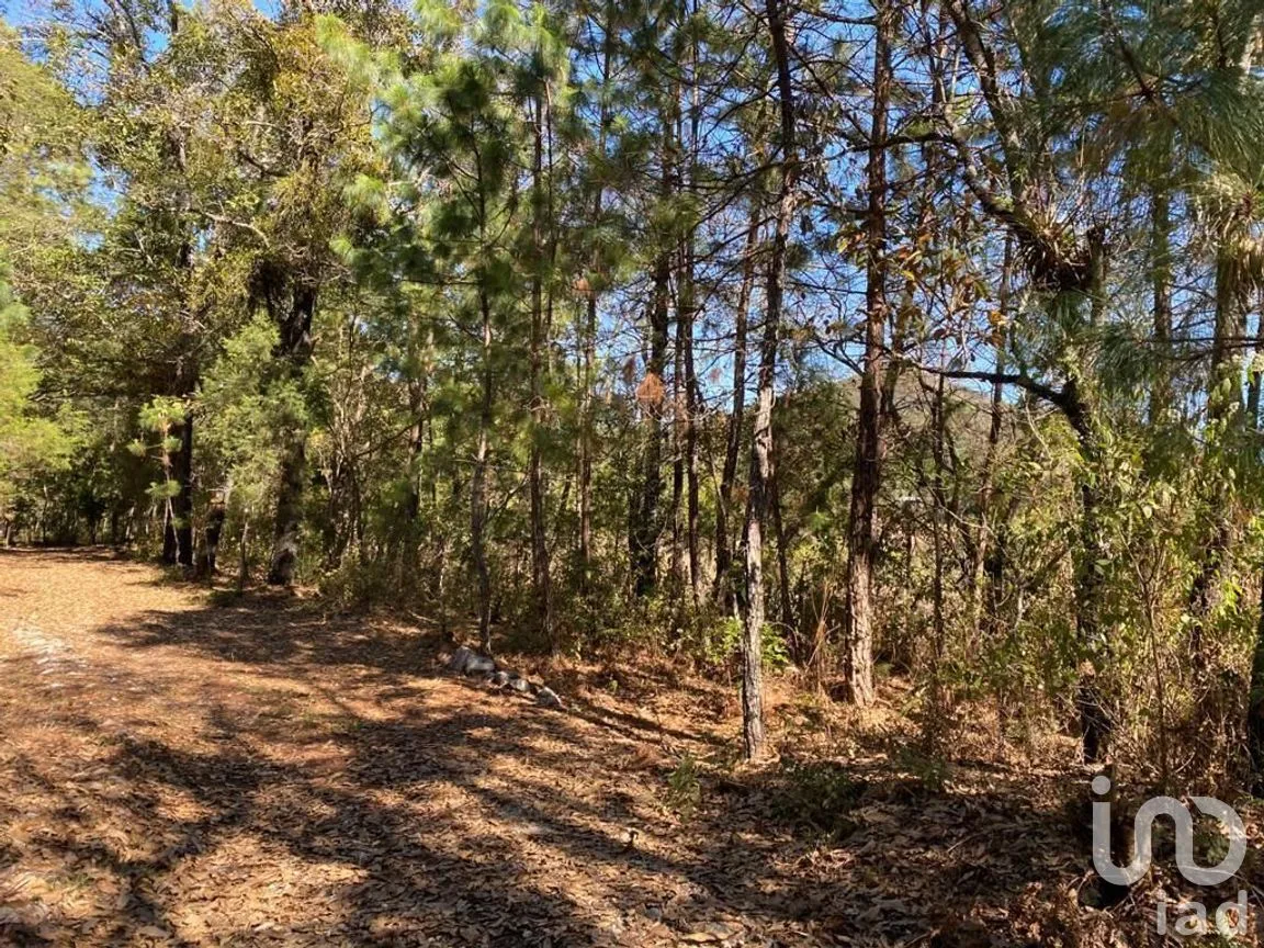 Terreno en Venta en Teopisca, Teopisca, Chiapas | NEX-227090 | iad México | Foto 2 de 10