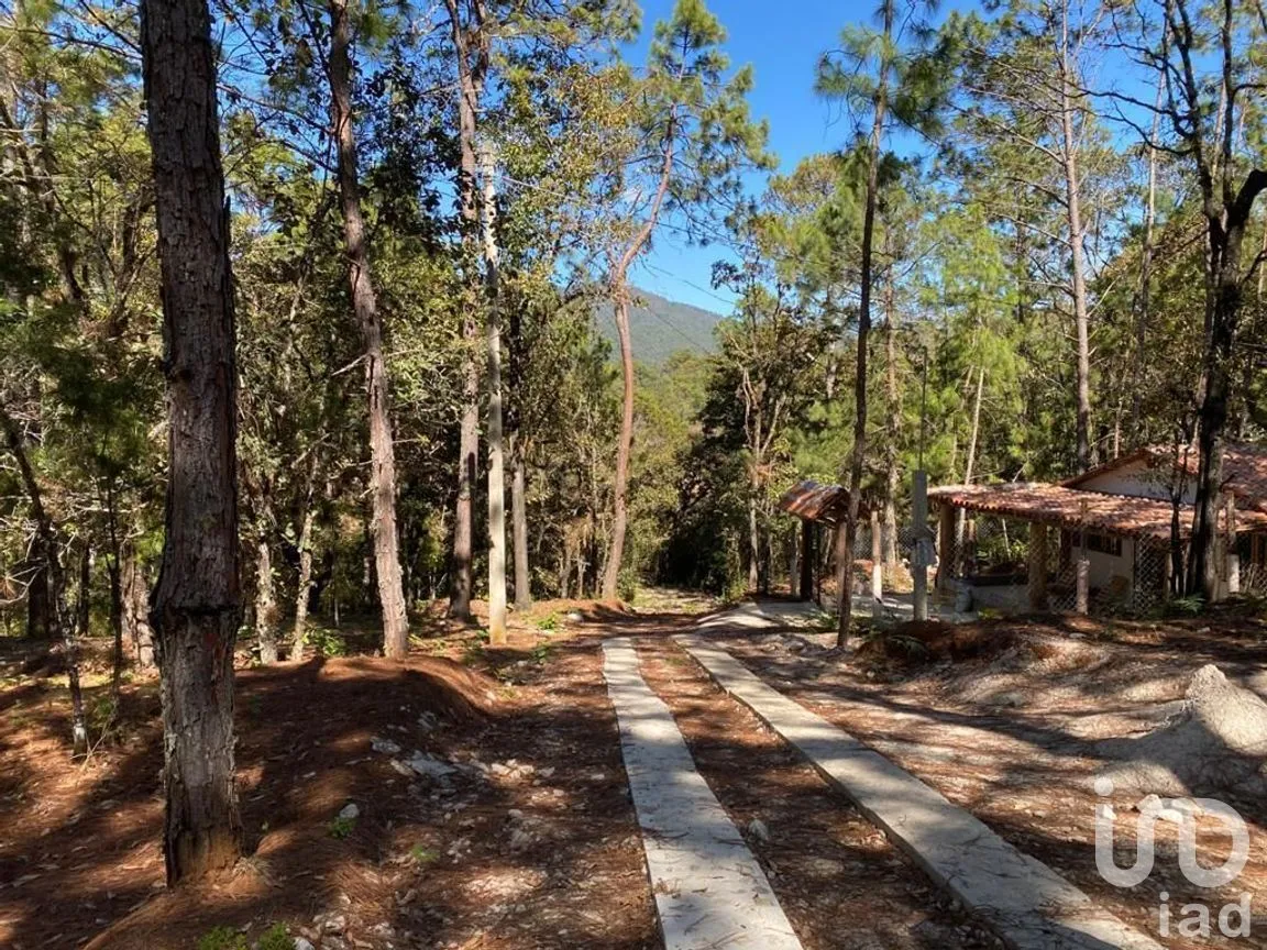 Terreno en Venta en Teopisca, Teopisca, Chiapas | NEX-227090 | iad México | Foto 3 de 10