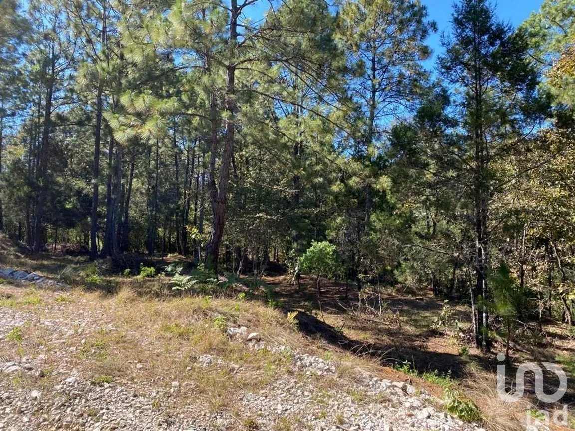 Terreno en Venta en Teopisca, Teopisca, Chiapas | NEX-227093 | iad México | Foto 5 de 9