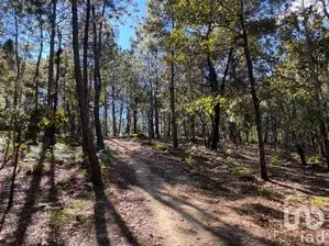NEX-227093 - Terreno en Venta en Teopisca, CP 29410, Chiapas.