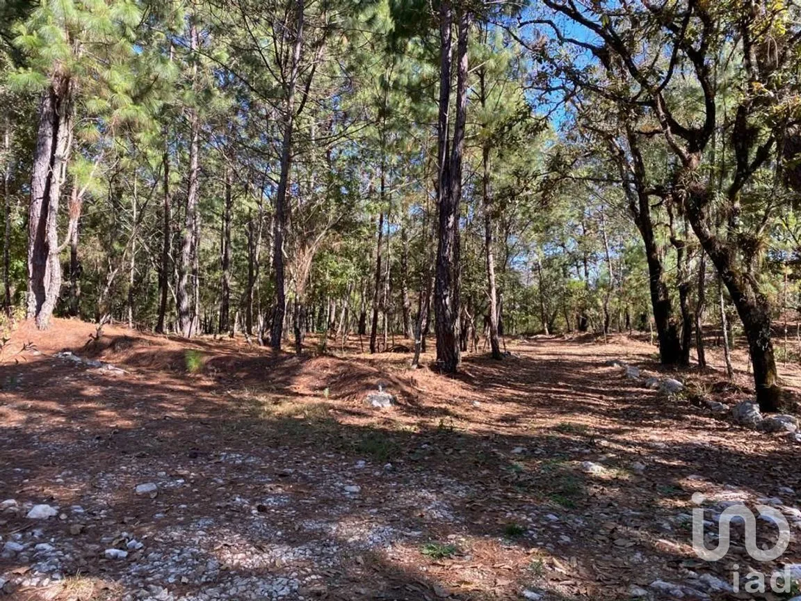 Terreno en Venta en Teopisca, Teopisca, Chiapas | NEX-227094 | iad México | Foto 6 de 9