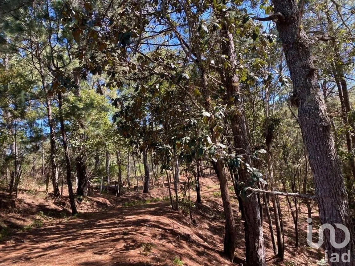 Terreno en Venta en Teopisca, Teopisca, Chiapas | NEX-227096 | iad México | Foto 2 de 6