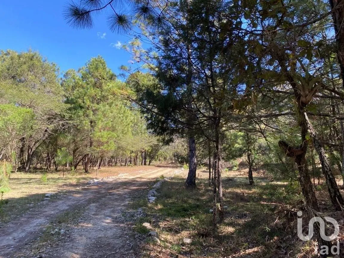 Terreno en Venta en Teopisca, Teopisca, Chiapas | NEX-227096 | iad México | Foto 6 de 6
