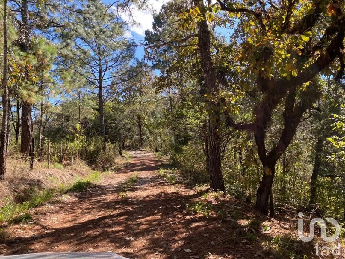 Terreno en Venta en Teopisca, Teopisca, Chiapas | NEX-227100 | iad México | Foto 2 de 10