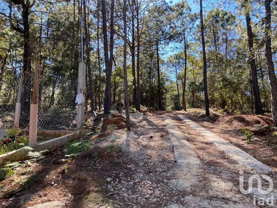 Terreno en Venta en Teopisca, Teopisca, Chiapas | NEX-227100 | iad México | Foto 4 de 10