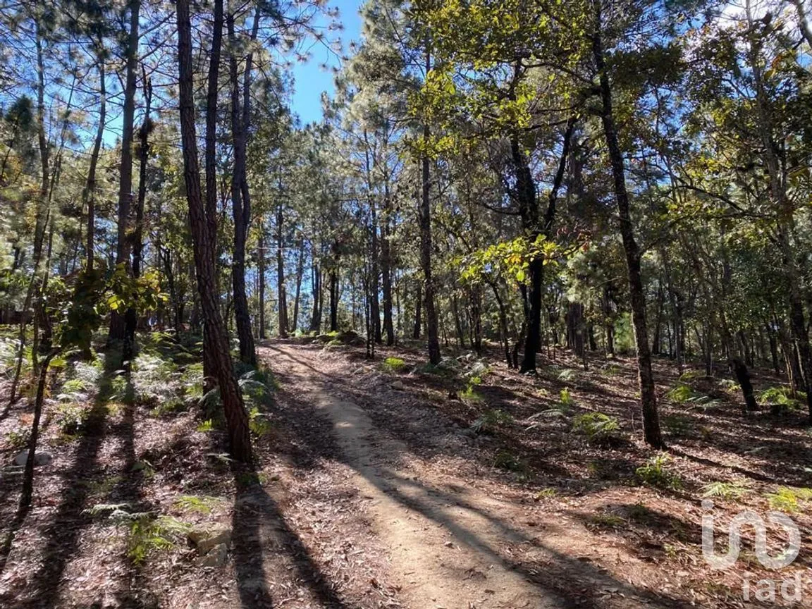 Terreno en Venta en Teopisca, Teopisca, Chiapas | NEX-227101 | iad México | Foto 3 de 10