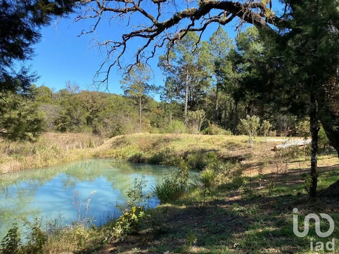 Terreno en Venta en Teopisca, Teopisca, Chiapas | NEX-227101 | iad México | Foto 4 de 10