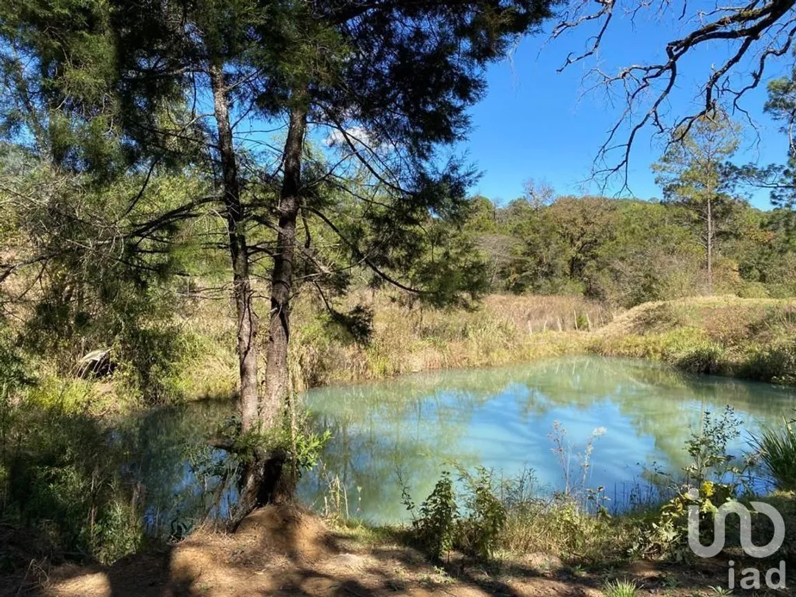 Terreno en Venta en Teopisca, Teopisca, Chiapas | NEX-227102 | iad México | Foto 4 de 10