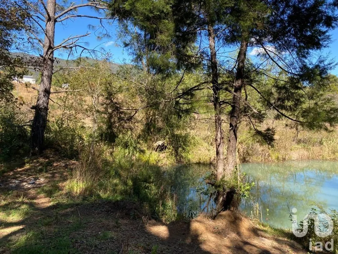Terreno en Venta en Teopisca, Teopisca, Chiapas | NEX-227103 | iad México | Foto 7 de 7